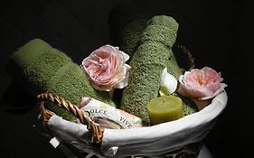 B&B Casacapraia